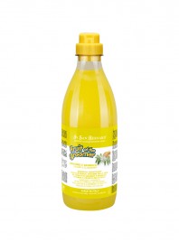 Шампунь Iv San Bernard Ginger and Elderberry