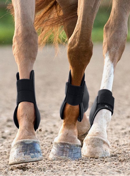 Якісні ногавки «Tendon» Horze з пластику та неопрену в розмірі Cob Фото