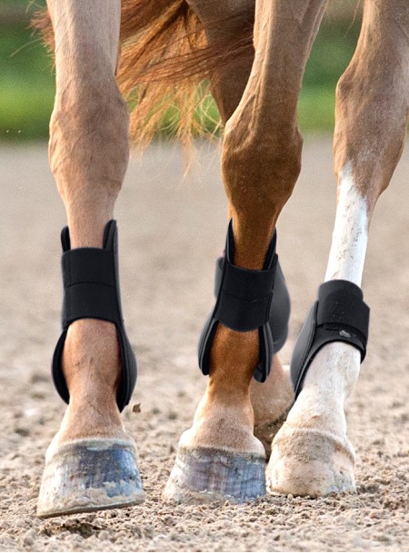 Повнорозмірні ногавки для коня Tendon Horze в коричневому кольорі Фото