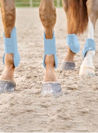 Ногавки  Fetlock блакит.
