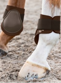 Ногавки  Fetlock