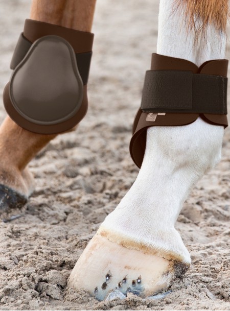 Ногавки на сухожилия ног скакуна Fetlock Фото
