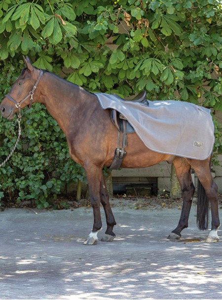 Захисна попона на задню частину скакуна з хвостовим ремінцем від Harry's Horse Фото