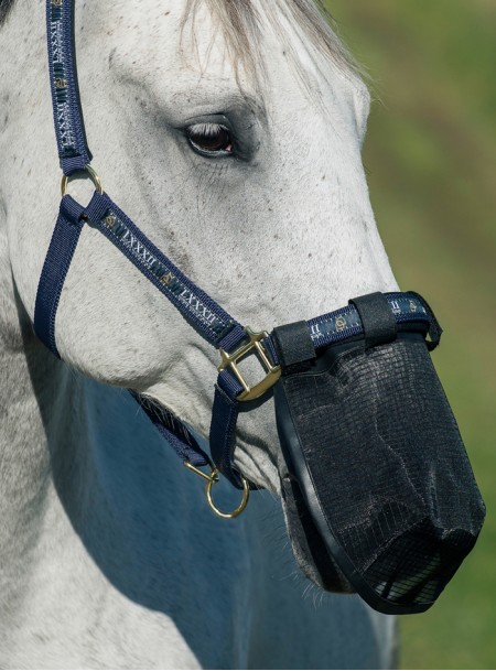 Сітчаста маска від мух на ніс коня Horze з 100% поліестеру в розмірі Pony Фото