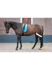 Кермовий ремінь (шлея) Harry's Horse