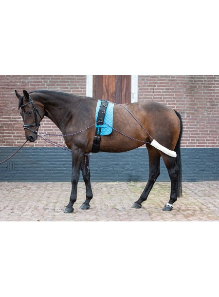 Кермовий ремінь (шлея) для коня від бренду Harry's Horse Фото