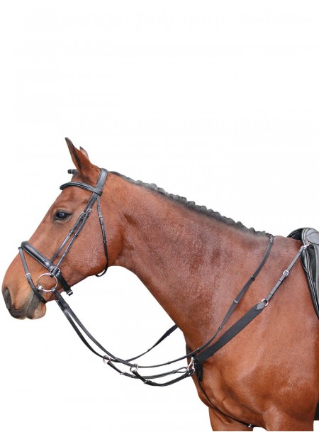 Оригінальний мартингал для коня Harry's Horse з 100% натуральної шкіри та надійними кільцями з нержавіючої сталі Фото