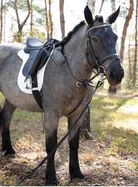 Недорогий вальтрап під сідло НКМ Pony на липучках Фото